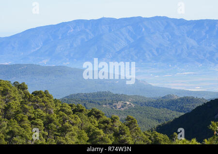 Aleppo-kiefern Wälder in Sierra Espuña massiv, mit der Sierra de Carrascoy im Hintergrund, Murcia (süd-östlichen Spanien) Stockfoto