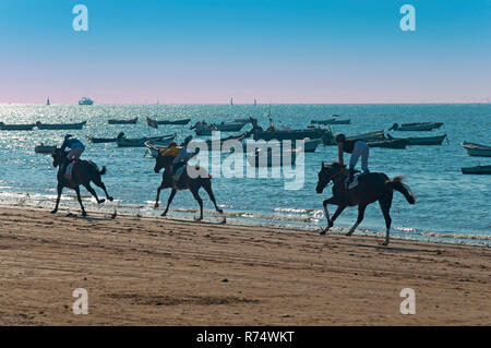 Traditionelle Pferderennen am Strand - seit 1845. Sanlucar de Barrameda. Cadiz Provinz. Region Andalusien. Spanien. Europa Stockfoto