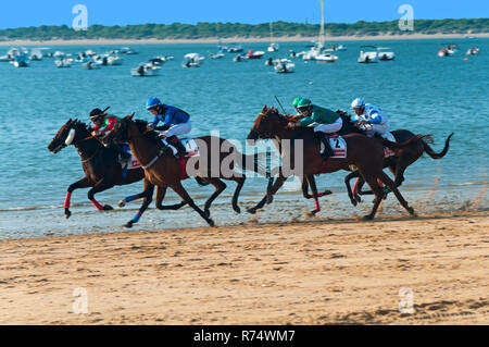 Traditionelle Pferderennen am Strand - seit 1845 (im Hintergrund der Doñana-Nationalpark). Sanlucar de Barrameda. Cadiz Provinz. Region Anda Stockfoto