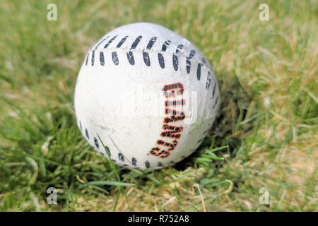 Ein San Francisco Giants Baseball im Gras liegen. Stockfoto