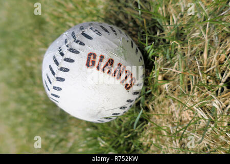 Ein San Francisco Giants Baseball im Gras liegen. Stockfoto