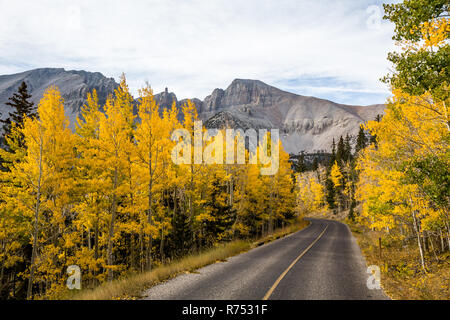 Der Gipfel der Wheeler Peak gesehen, die über helle gelbe Aspen Bäume im Herbst. Eine gepflasterte Straße mit einer gelben Linie Winde durch die Bäume Towa Stockfoto