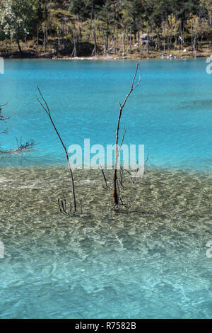 Klares Wasser Fluss von Blue Moon Valley, Yulong Snow Mountain in Lijiang, Yunnan, China. Stockfoto