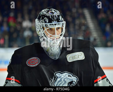 07. Dezember 2018, Bayern, Nürnberg: Eishockey: DEL, Nürnberg Ice Tigers - EHC Red Bull München, Hauptrunde, 25. Spieltag. Die nürnberger Torwart Niklas Treutle während eines Spiels Unterbrechung. Foto: Matthias Merz/dpa Stockfoto