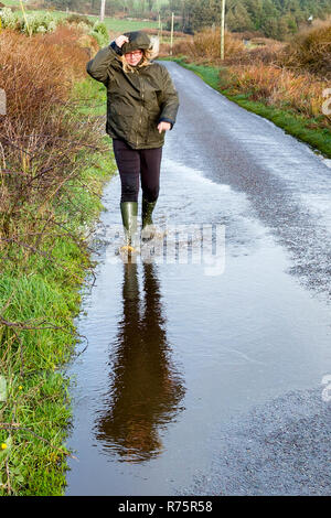 Frau Spritzen in Pfütze bei starkem Wind auf Grafschaft Lane im County Kerry Irland Stockfoto