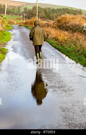 Frau Spritzen in Pfütze bei starkem Wind auf Grafschaft Lane im County Kerry Irland Stockfoto