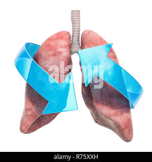 Menschliche lungen mit Pfeilen. Behandlung und Verwertung Konzept. 3D-Rendering auf weißem Hintergrund Stockfoto