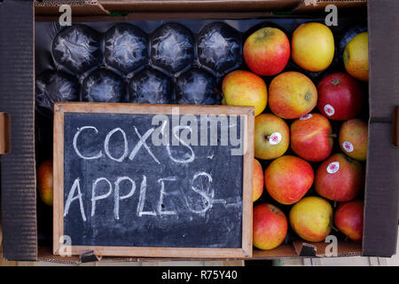 Box von Cox's Äpfel außerhalb Obst Shop. Stockfoto