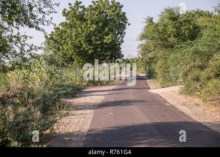 Straße in der Landschaft, die zu Bishnoi Dorf, Rajasthan, Indien Stockfoto