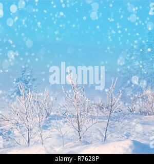Winter Hintergrund, Winterlandschaft mit textfreiraum Schnee umfallen Stockfoto