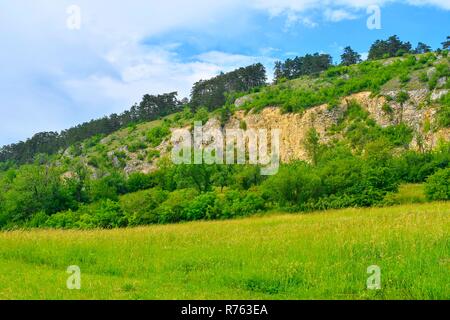 Die Pavlov Hügel, in der Tschechischen auch Palava. Weißer Kalkstein Felsen, Blumen in Rock. Südmähren, Tschechien, Europa Stockfoto