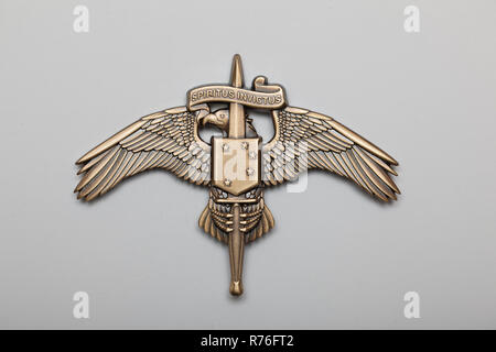 Die Marine Special Operator Insignia für Marine Special Operations aka Räuber Stockfoto