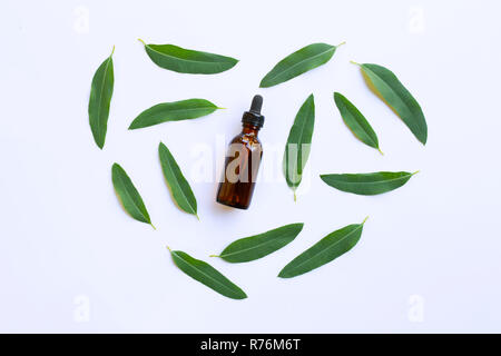 Eukalyptus ätherisches Öl Flasche mit Blättern auf Weiß Stockfoto