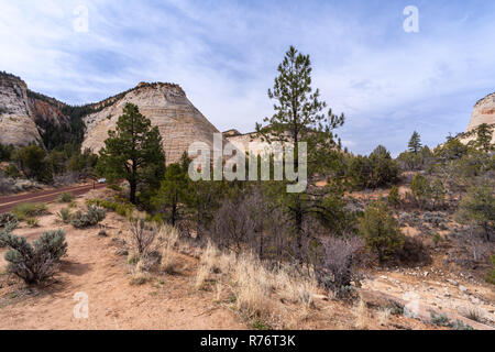 Checkerboard Mesa am Zion National Park Stockfoto