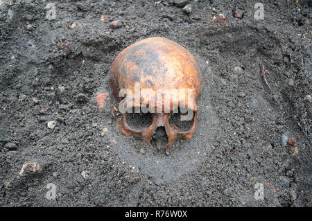 Archäologische Ausgrabung mit Schädel noch halb in die Erde eingegraben Stockfoto