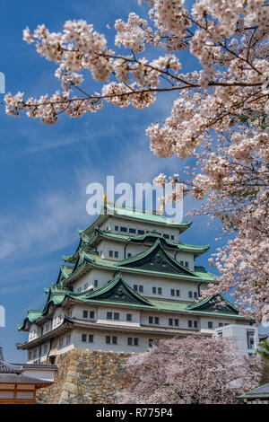 Nagoya Castle - Aichi Präfektur Stockfoto