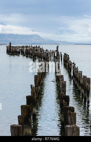 Hölzerne Pier Säulen, Puerto Natales, Patagonien, Chile Stockfoto