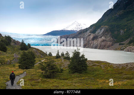 Lago Grey und Grey Gletscher, Nationalpark Torres del Paine, chilenischen Patagonien, Chile Stockfoto