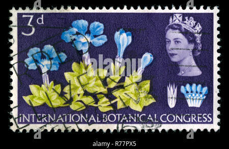 Briefmarke aus Großbritannien im Botanischen Kongress in der Serie 1964 Stockfoto