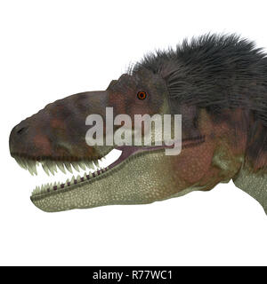 Daspletosaurus Dinosaurier Kopf Stockfoto