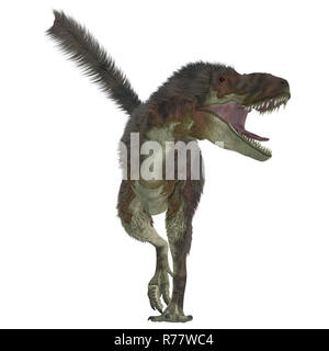 Daspletosaurus Predator Stockfoto