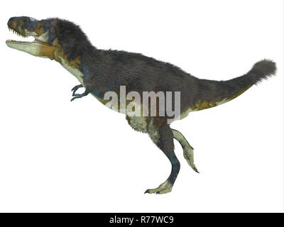 Daspletosaurus Seite Profil Stockfoto