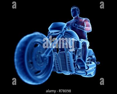 3D-Darstellung der Muskeln ein Biker. Stockfoto