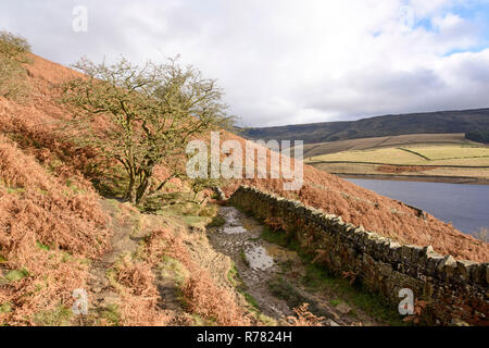 Pfad entlang Kinder Reservoir, Hayfield, Cheshire. Stockfoto