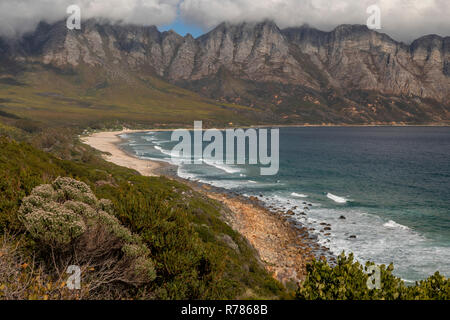 Fynbos in Kogel Bay und den Kogelberg Biosphere Reserve, Kogelberg Gebirge, östlich von Kapstadt, Südafrika Stockfoto