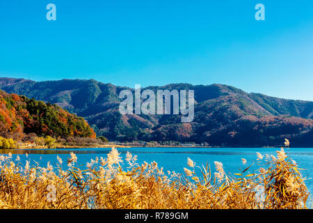 Fujikawaguchiko, Yamanashi, Japan - 29 November 2018: Herbst scenie Ansicht von Fuji Kawaguchiko Landschaft mit See und Bergen von Nagasaki Park Stockfoto