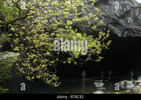 Rydale Höhle, Loughrigg fiel, Lake District, Cumbria Stockfoto