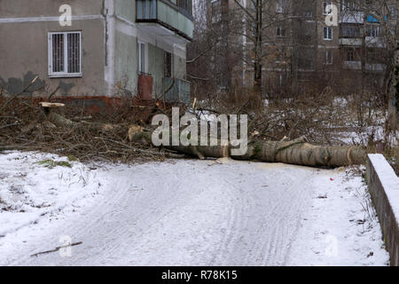Gefallenen Baum im Sturm vor dem Haus Stockfoto