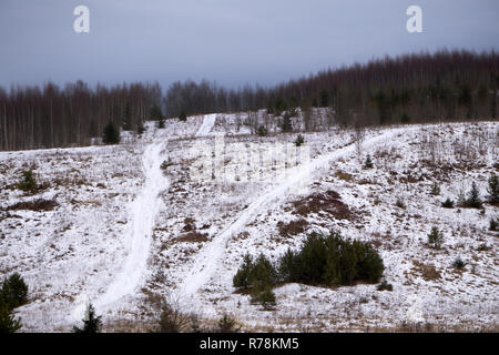 Erster Schnee auf Herbst Feld gefallen Stockfoto
