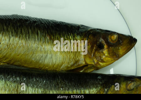 Hering, geräucherten Fisch auf weißem Hintergrund Stockfoto