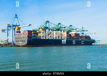 Angedockt Cargo Container geladen, Zeebrugge Hafen Zeebrugge, Brügge, Belgien Stockfoto