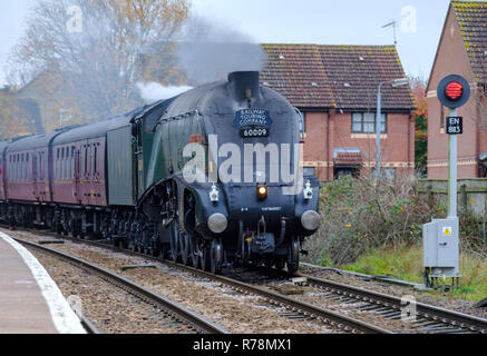 A4 Pacific, Südafrikanische Union Dampflok zieht in Thetford Station auf dem Weg zur Norfok Lyndum Fayre Lincoln, Großbritannien Stockfoto