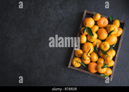 Tangerinen (Orangen, Clementinen, Zitrusfrüchte) mit grünen Blättern in Feld auf schwarzem Hintergrund, kopieren. Stockfoto