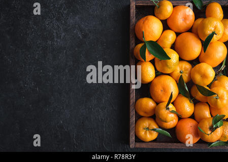 Tangerinen (Orangen, Clementinen, Zitrusfrüchte) mit grünen Blättern in Feld auf schwarzem Hintergrund, kopieren. Stockfoto