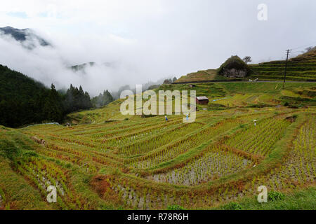 Vogelscheuche in Maruyama Senmaida Reisterrassen in Central Japan, Maruyama - senmaida, Kumano, Japan Stockfoto