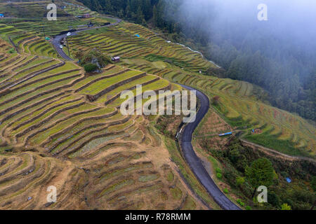 Luftaufnahme von Maruyama Senmaida Reisterrassen in Central Japan, Maruyama - senmaida, Kumano, Japan, von drohne getroffen Stockfoto