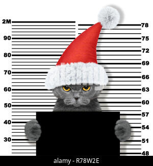 Süße Katze als Weihnachtsmann im Gefängnis. Auf weissem Hintergrund Stockfoto