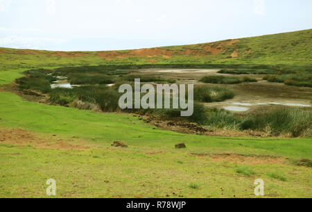 Süßwasser Kratersee mit Totora Schilfgras am Gipfel des Rano Raraku Vulkan auf der Osterinsel Chile Stockfoto