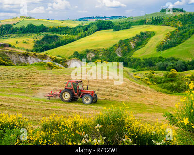 Traktor mähen das Gras in den Feldern die Ernte Ballen Heu Stockfoto