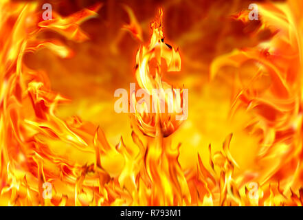 Dollarzeichen und Feuer flammen Stockfoto