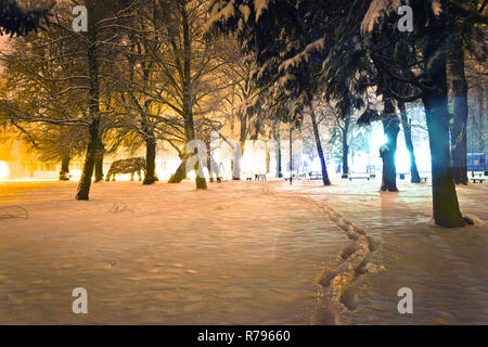Fuß-Drucke im Snow park winter, gefroren Stadtansichten Stockfoto