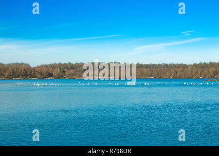 Kroatischen Natur, schöne Landschaft, See auf dem Land in Garesnica, Kroatien Stockfoto