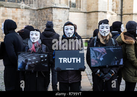 YORK, Großbritannien - 8. Dezember 2018. Mitglieder des Würfels der Wahrheit Vegan protest Gruppe in Guy Fawks Masken und Protestieren über Grausamkeit zu Tieren. Stockfoto