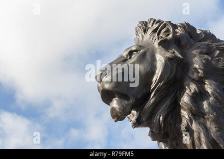 Lion statue am Queeen Victoria Memorial vor dem Buckingham Palace in London, Großbritannien Stockfoto