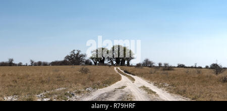 Sand Straße mit der Baines Baobabs im Nxai Pan National Park, Botswana Stockfoto