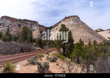 Checkerboard Mesa am Zion National Park Stockfoto